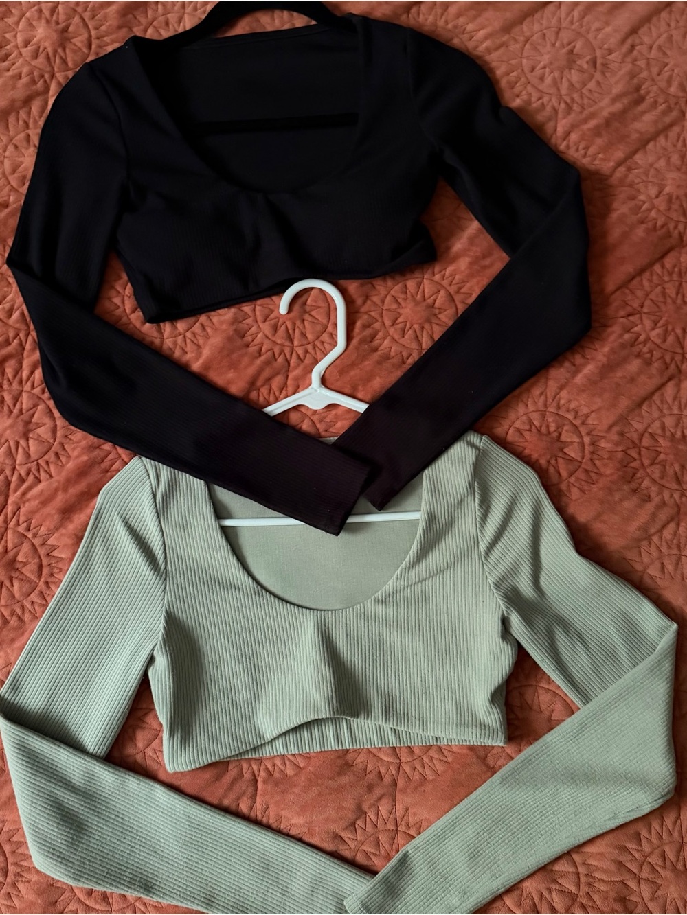 ALO Yoga Ribbed Long Sleeve Crop Top Bundle in Black and Sage